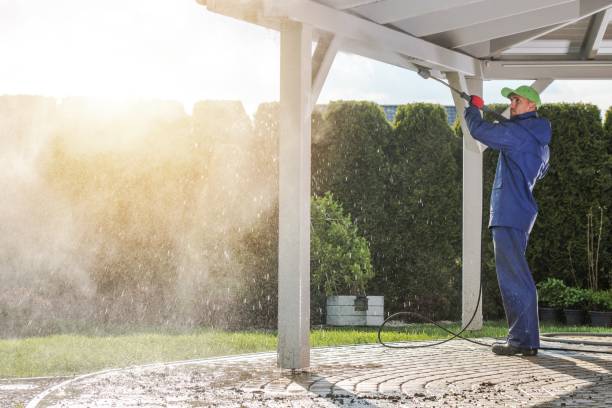 Animal Enclosure Cleaning in West Pelzer, SC