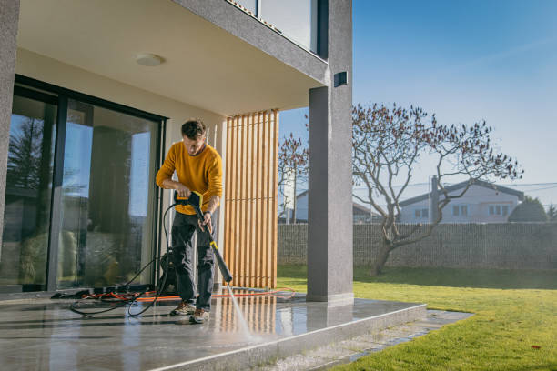 Best Pre-Holiday Cleaning  in West Pelzer, SC